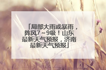 局部大雨或暴雨，阵风7～9级！山东最新天气预报，济南最新天气预报