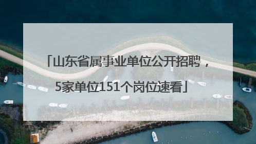 山东省属事业单位公开招聘，5家单位151个岗位速看