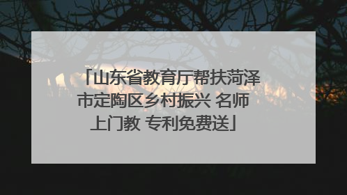 山东省教育厅帮扶菏泽市定陶区乡村振兴 名师上门教 专利免费送