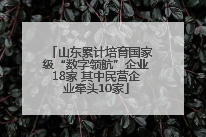 山东累计培育国家级“数字领航”企业18家 其中民营企业牵头10家