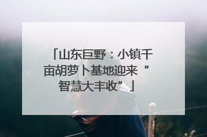 山东巨野：小镇千亩胡萝卜基地迎来“智慧大丰收”
