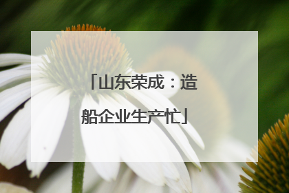 山东荣成：造船企业生产忙