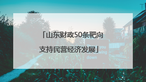山东财政50条靶向支持民营经济发展