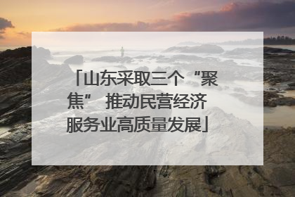 山东采取三个“聚焦” 推动民营经济服务业高质量发展