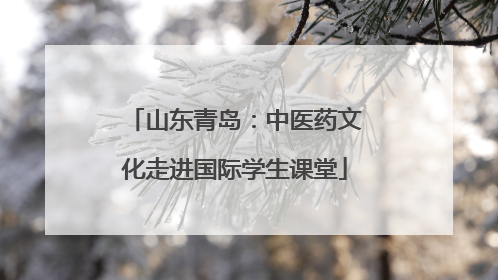 山东青岛：中医药文化走进国际学生课堂