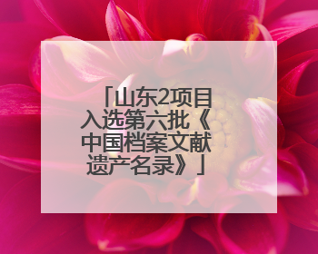 山东2项目入选第六批《中国档案文献遗产名录》