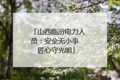 山西临汾电力人员：安全无小事 匠心守光明