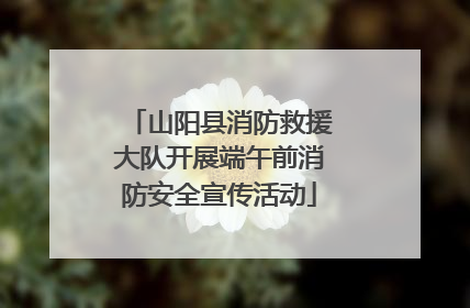 山阳县消防救援大队开展端午前消防安全宣传活动