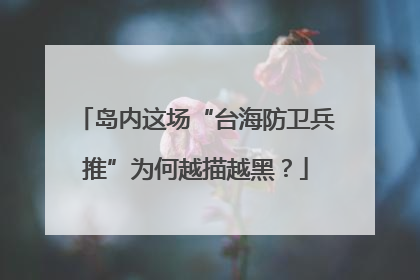 岛内这场“台海防卫兵推”为何越描越黑？