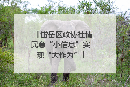 岱岳区政协社情民意“小信息”实现“大作为”