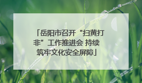 岳阳市召开“扫黄打非”工作推进会 持续筑牢文化安全屏障