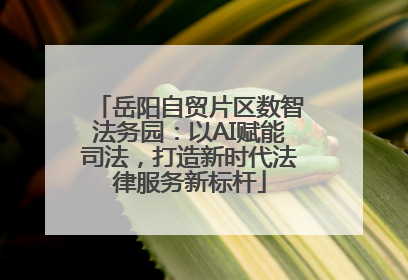 岳阳自贸片区数智法务园：以AI赋能司法，打造新时代法律服务新标杆