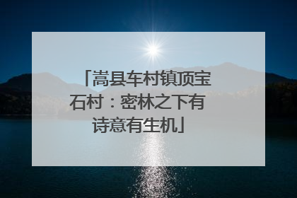 嵩县车村镇顶宝石村：密林之下有诗意有生机
