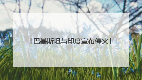 巴基斯坦与印度宣布停火