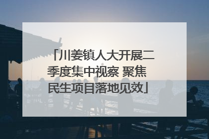 川姜镇人大开展二季度集中视察 聚焦民生项目落地见效