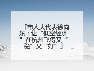 市人大代表徐向东：让“低空经济”在杭州飞得又“稳”又“好”