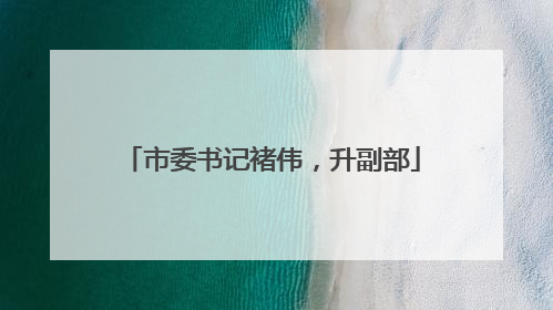 市委书记褚伟，升副部