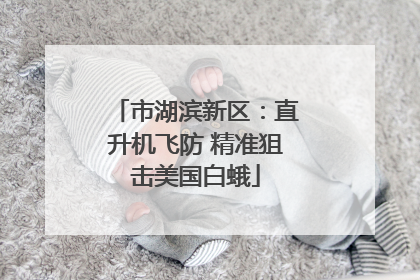 市湖滨新区：直升机飞防 精准狙击美国白蛾