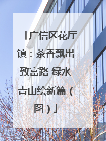 广信区花厅镇：茶香飘出致富路 绿水青山绘新篇（图）
