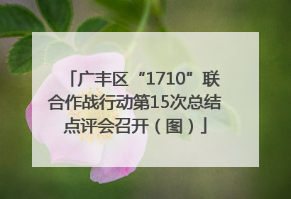 广丰区“1710”联合作战行动第15次总结点评会召开（图）