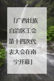 广西壮族自治区工会第十四次代表大会在南宁开幕