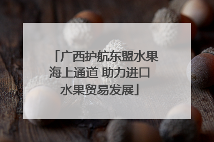 广西护航东盟水果海上通道 助力进口水果贸易发展