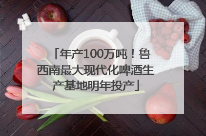 年产100万吨！鲁西南最大现代化啤酒生产基地明年投产