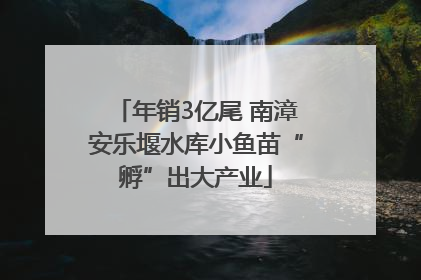 年销3亿尾 南漳安乐堰水库小鱼苗“孵”出大产业