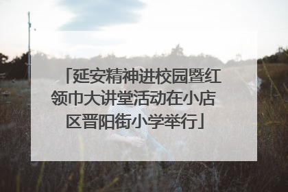 延安精神进校园暨红领巾大讲堂活动在小店区晋阳街小学举行