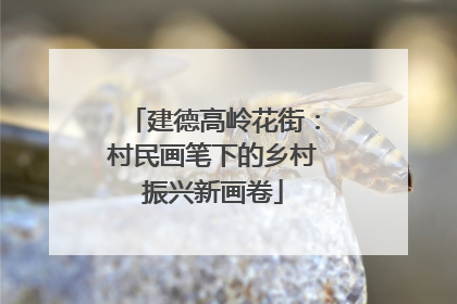建德高岭花街：村民画笔下的乡村振兴新画卷