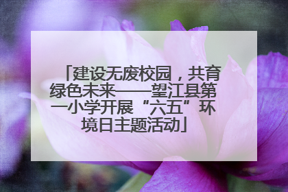 建设无废校园，共育绿色未来——望江县第一小学开展“六五”环境日主题活动