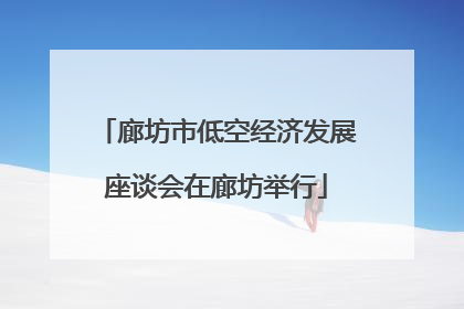 廊坊市低空经济发展座谈会在廊坊举行