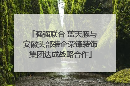 强强联合 蓝天豚与安徽头部装企荣锋装饰集团达成战略合作