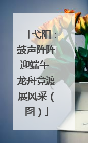 弋阳：鼓声阵阵迎端午 龙舟竞渡展风采（图）