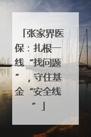 张家界医保：扎根一线“找问题”，守住基金“安全线”