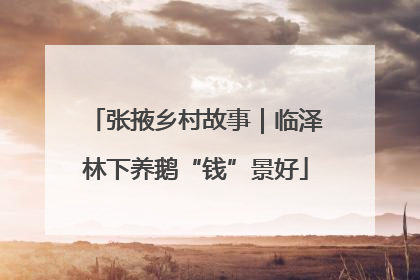 张掖乡村故事｜临泽林下养鹅“钱”景好