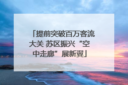 提前突破百万客流大关 苏区振兴“空中走廊”展新翼