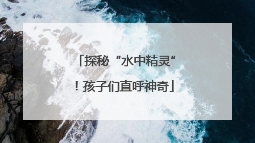 探秘“水中精灵”！孩子们直呼神奇