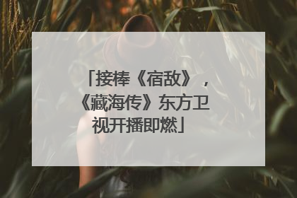 接棒《宿敌》，《藏海传》东方卫视开播即燃