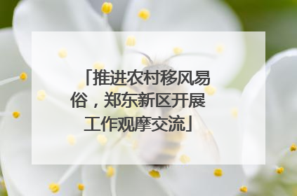 推进农村移风易俗，郑东新区开展工作观摩交流