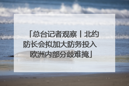 总台记者观察丨北约防长会拟加大防务投入 欧洲内部分歧难掩