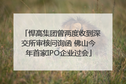 悍高集团曾两度收到深交所审核问询函 佛山今年首家IPO企业过会