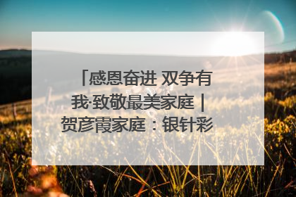 感恩奋进 双争有我·致敬最美家庭｜贺彦霞家庭：银针彩线绣出好日子