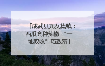 成武县九女集镇：西瓜套种辣椒 “一地双收”巧致富