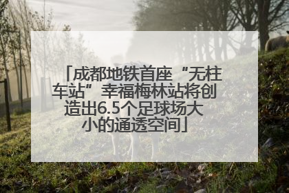 成都地铁首座“无柱车站”幸福梅林站将创造出6.5个足球场大小的通透空间