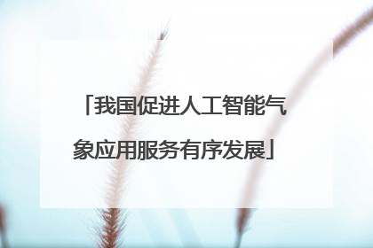 我国促进人工智能气象应用服务有序发展