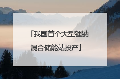 我国首个大型锂钠混合储能站投产