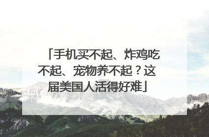 手机买不起、炸鸡吃不起、宠物养不起？这届美国人活得好难