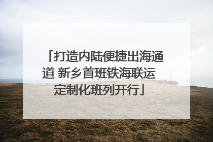 打造内陆便捷出海通道 新乡首班铁海联运定制化班列开行