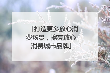 打造更多放心消费场景，擦亮放心消费城市品牌
